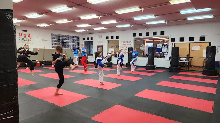 World Taekwondo Academy Picture 2