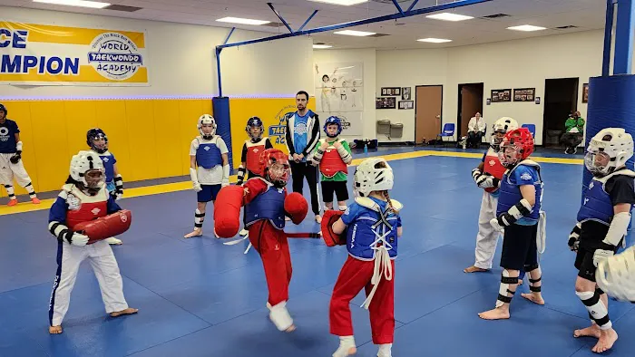 World Taekwondo Academy Picture 6