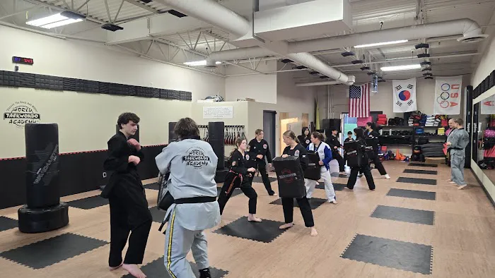 World Taekwondo Academy Picture 4
