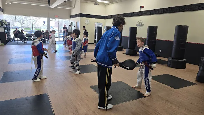 World Taekwondo Academy Picture 8