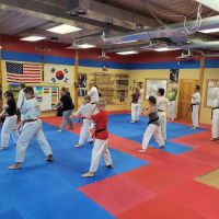 Evolution Tae Kwon Do Of Big Lake ico
