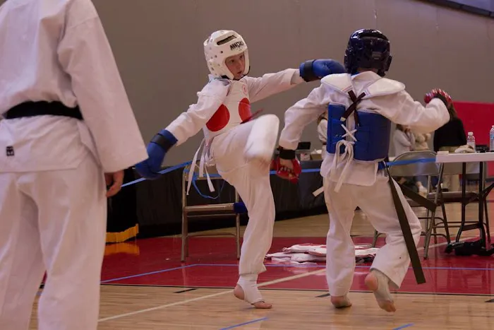 Evolution Tae Kwon Do Of Big Lake Picture 9