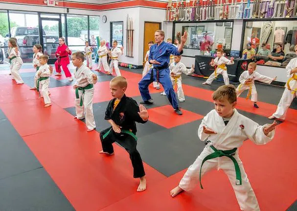 Dojo Karate - Waconia Picture 4