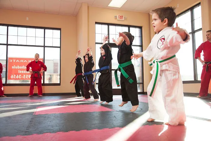Dojo Karate - Waconia Picture 3