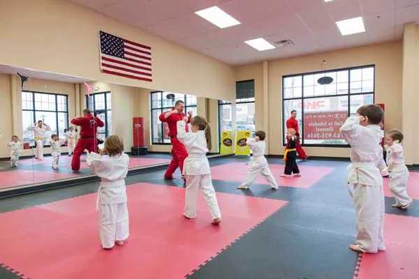 Dojo Karate - Waconia Picture 6