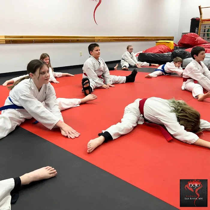 Dojo Karate - Elk River Picture 9