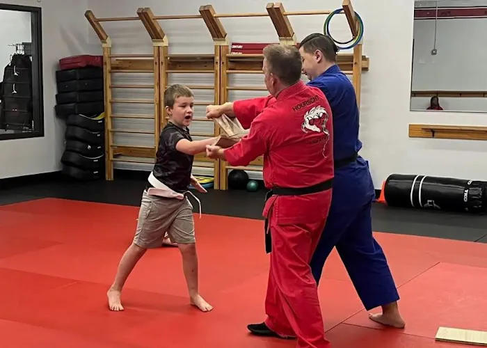 Dojo Karate - Buffalo Picture 8