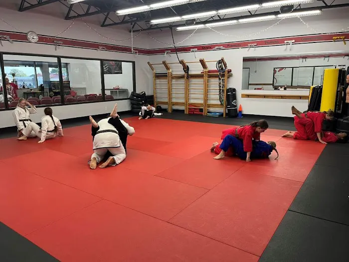 Dojo Karate - Buffalo Picture 10