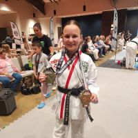 Samurai ATA Family Martial Arts New Prague ico