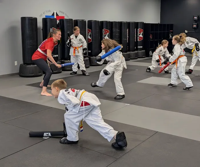 Samurai ATA Family Martial Arts New Prague Picture 3