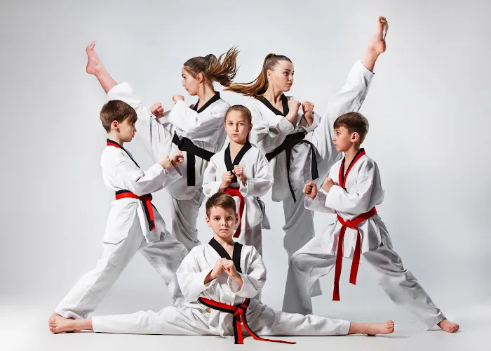 NTI Northfield Martial Arts Picture 1