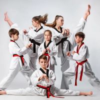 NTI Northfield Martial Arts ico