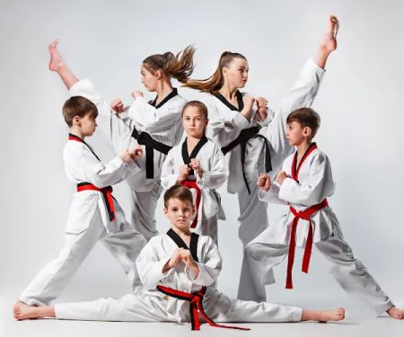 NTI Northfield Martial Arts