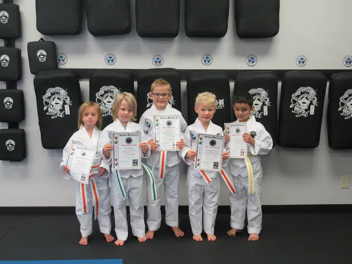 Kyuki-Do Martial Arts of Lindstrom Picture 1