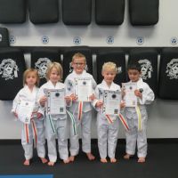 Kyuki-Do Martial Arts of Lindstrom ico