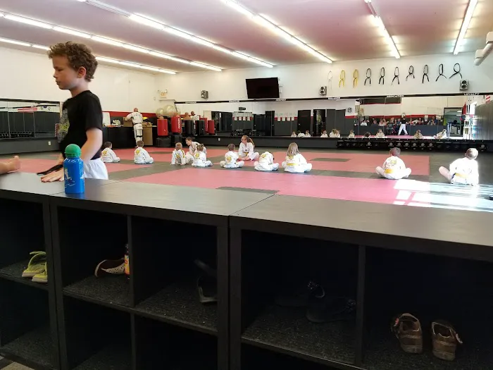 North Branch Martial Arts & Fitness Picture 2