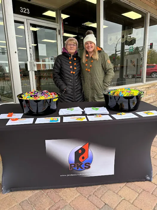 Professional Karate Studios Picture 5