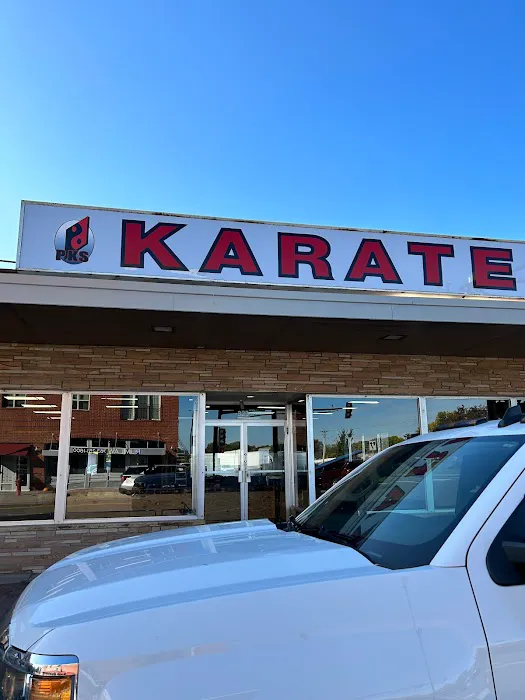 Professional Karate Studios Picture 1