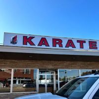 Professional Karate Studios ico
