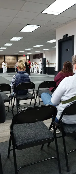 Professional Karate Studios Picture 2