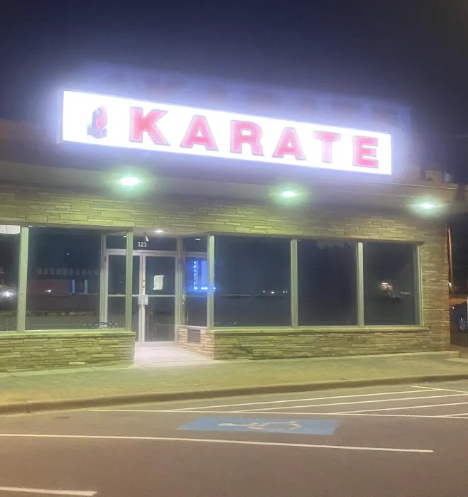 Professional Karate Studios Picture 3