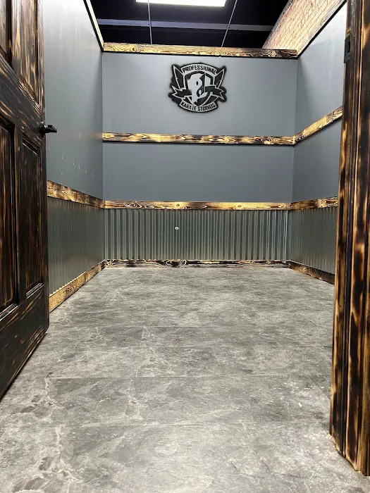 Professional Karate Studios Picture 4