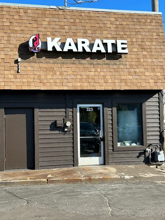 Professional Karate Studios Picture 7