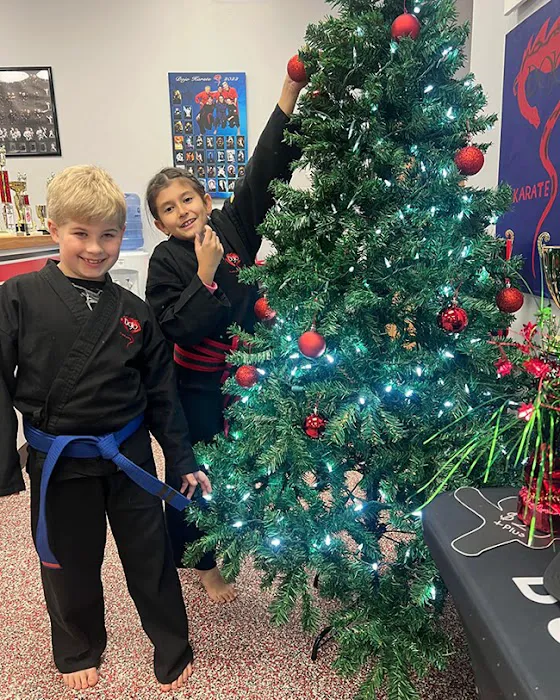 Dojo Karate - Monticello Picture 8