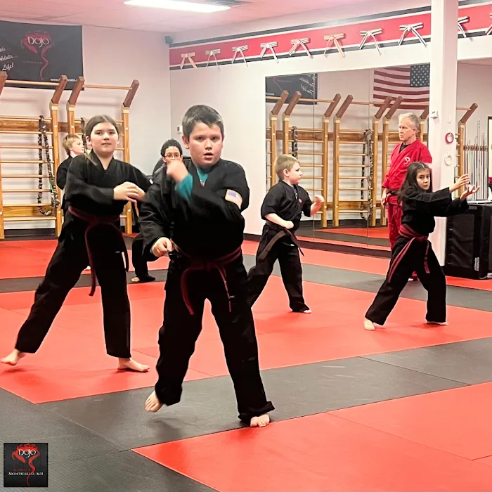 Dojo Karate - Monticello Picture 9