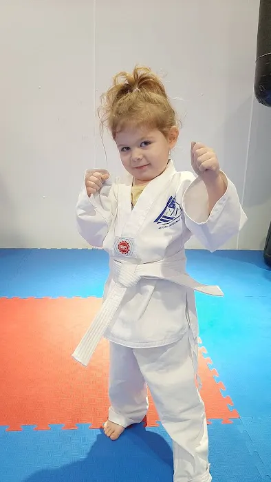 NTI National Taekwondo Institute Picture 2