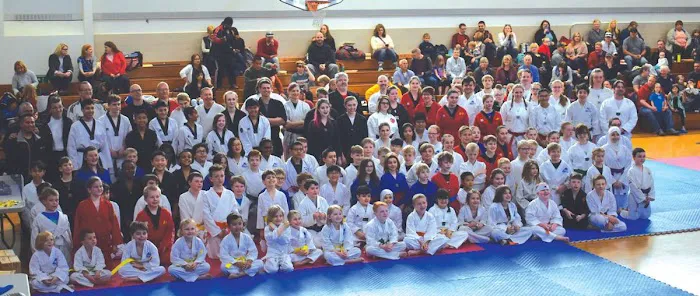 NTI National Taekwondo Institute Picture 1