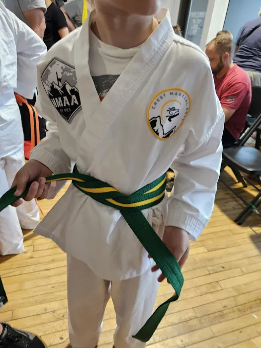 Crest Martial Arts Academy Picture 1