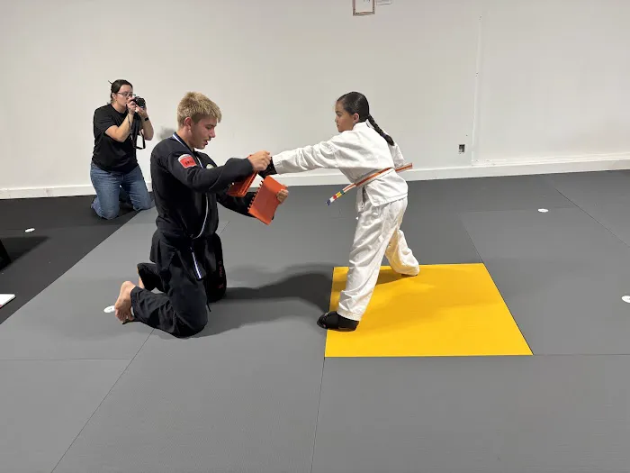 Crest Martial Arts Academy Picture 2