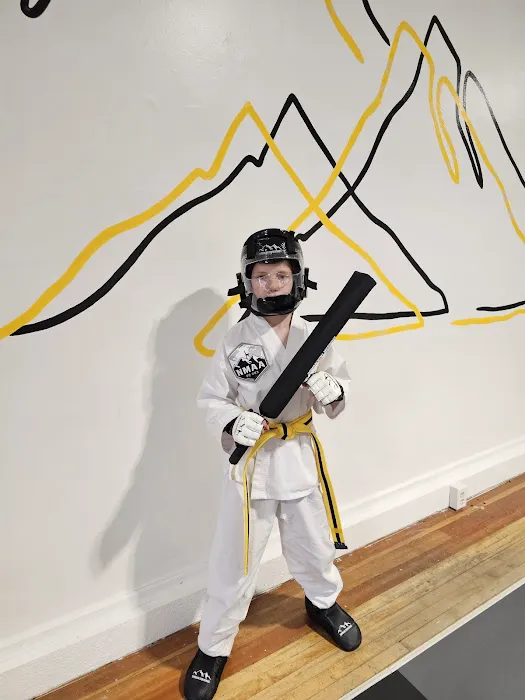 Crest Martial Arts Academy Picture 7