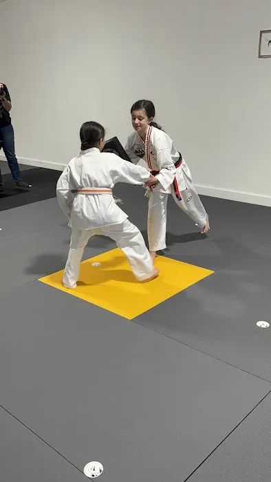 Crest Martial Arts Academy Picture 8