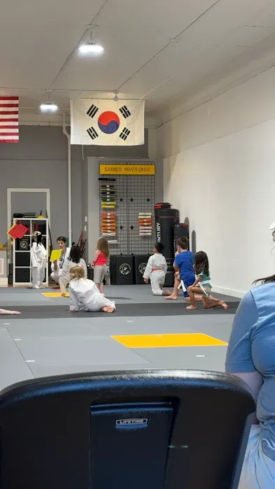 Crest Martial Arts Academy Picture 9