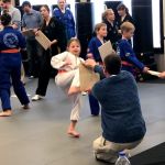 Lee's Champion Tae Kwondo Academy