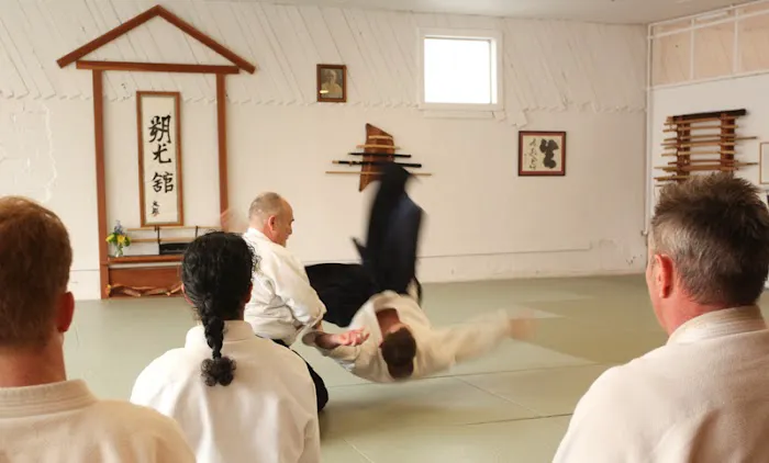 Aikido - Multnomah Aikikai Picture 8