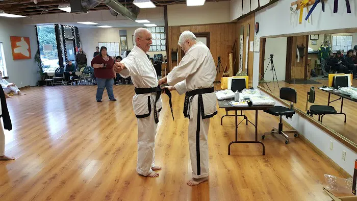 Traditional Taekwon-Do Picture 1