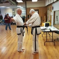 Traditional Taekwon-Do ico