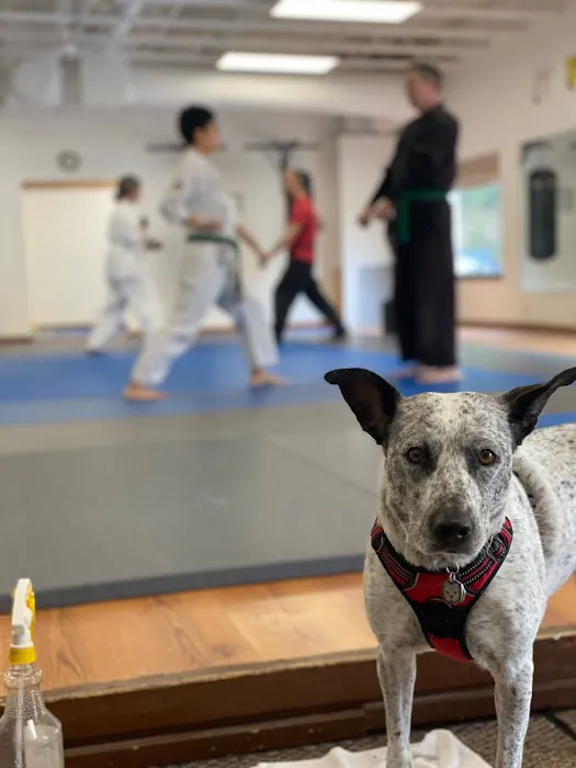 Quantum Martial Arts PDX Picture 1