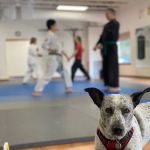 Quantum Martial Arts PDX