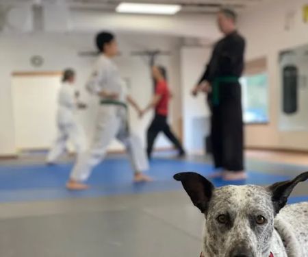 Quantum Martial Arts PDX