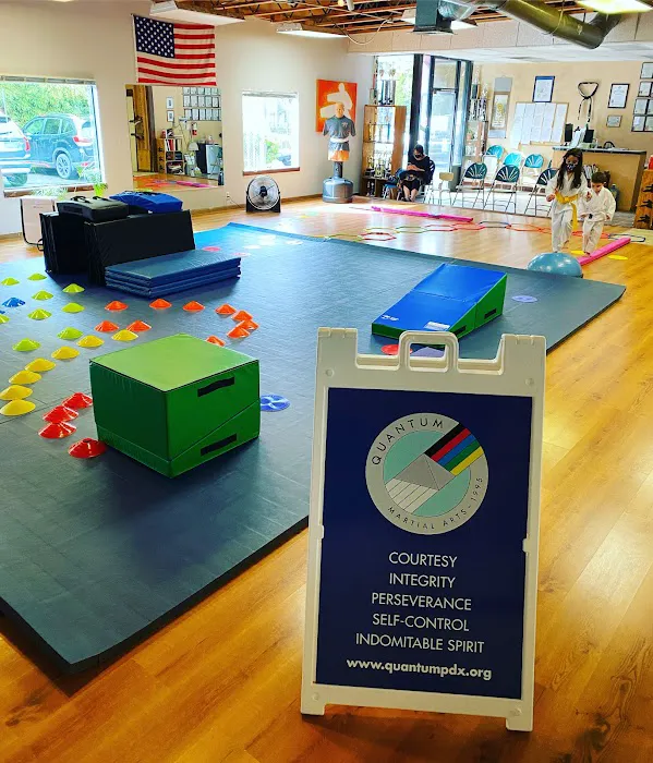 Quantum Martial Arts PDX Picture 4