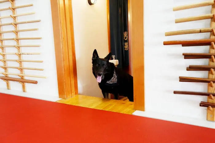 Aikido :: Bridgetown Aikido Picture 8