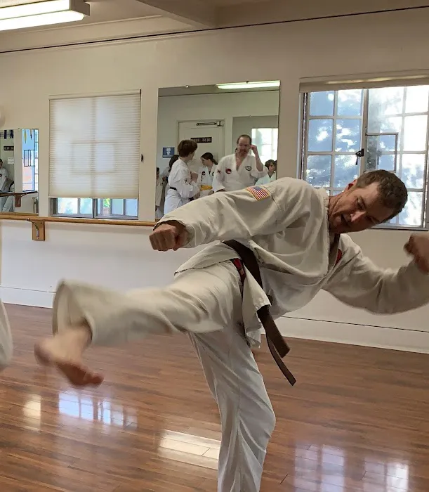 Woodstock Taekwondo Picture 3