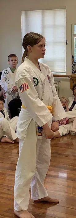 Woodstock Taekwondo Picture 2