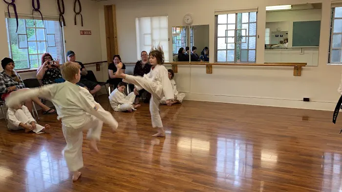 Woodstock Taekwondo Picture 1