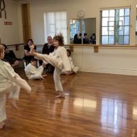 Woodstock Taekwondo ico