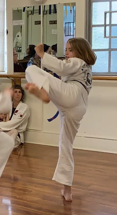 Woodstock Taekwondo Picture 4